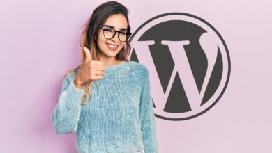 Kinsta WordPress Updater Prevents Failed Plugin Updates