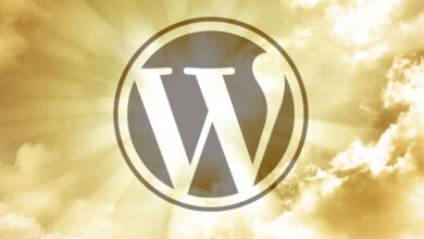 WordPress Plugin Platform Offers Proactive Security Scanning