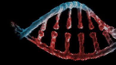 FutureHouse releases AI tools it claims can accelerate science