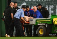 Baseball fan falls from stands in PNC Park during Pirates-Cubs game