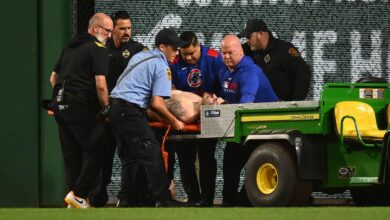 Baseball fan falls from stands in PNC Park during Pirates-Cubs game