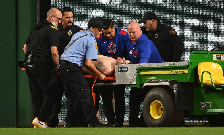 Baseball fan falls from stands in PNC Park during Pirates-Cubs game Baseball fan falls from stands in PNC Park during Pirates-Cubs game