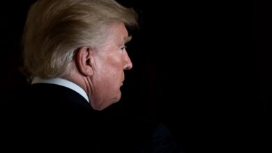 Trump fires Copyright Office director after report raises questions about AI training