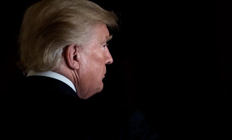 Trump fires Copyright Office director after report raises questions about AI training Trump fires Copyright Office director after report raises questions about AI training