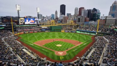 MLB news: GoFundMe begins for Pirates fan who fell from stands