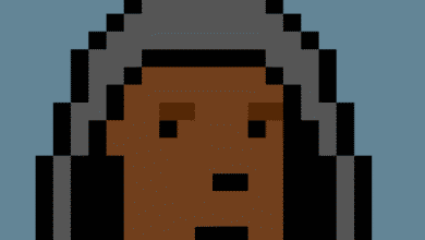 NFT phenom CryptoPunks was just sold to a nonprofit