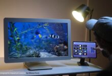 See true-to-life 3D visuals without headsets or glasses