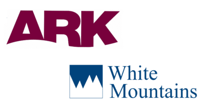 White Mountains reports Outrigger Re sidecar loss in Q1 2025 on wildfires and 2024 cats