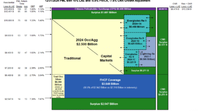 Catastrophe bonds could make-up 70% of Florida Citizens reinsurance in 2025