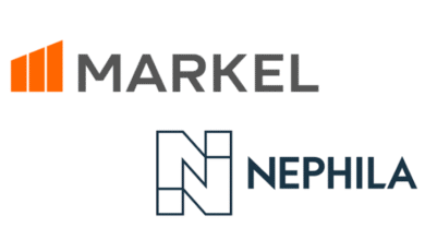 Nephila ILS fund management revenues rise 33% to .5m in Q1 2025 for Markel