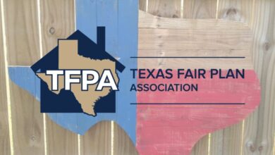 Texas FAIR Plan’s 0m Bluebonnet Re 2025-2 cat bond price moves to upper-end