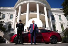 Elon Musk took a chainsaw to the US government. Tesla is taking the hit.