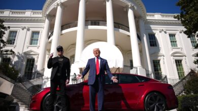 Elon Musk took a chainsaw to the US government. Tesla is taking the hit.