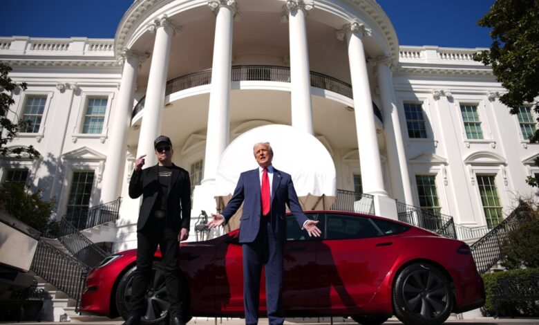 Elon Musk took a chainsaw to the US government. Tesla is taking the hit. Elon Musk took a chainsaw to the US government. Tesla is taking the hit.